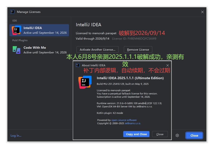 IDEA 2025.1.1激活成功